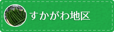 すかがわ岩瀬地区