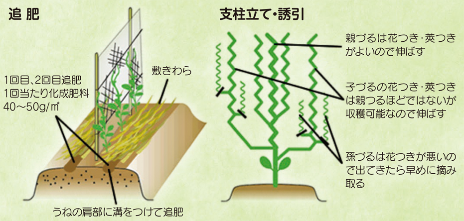 営農情報 Ja夢みなみ