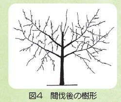営農情報 Ja夢みなみ 営農情報 Ja夢みなみ
