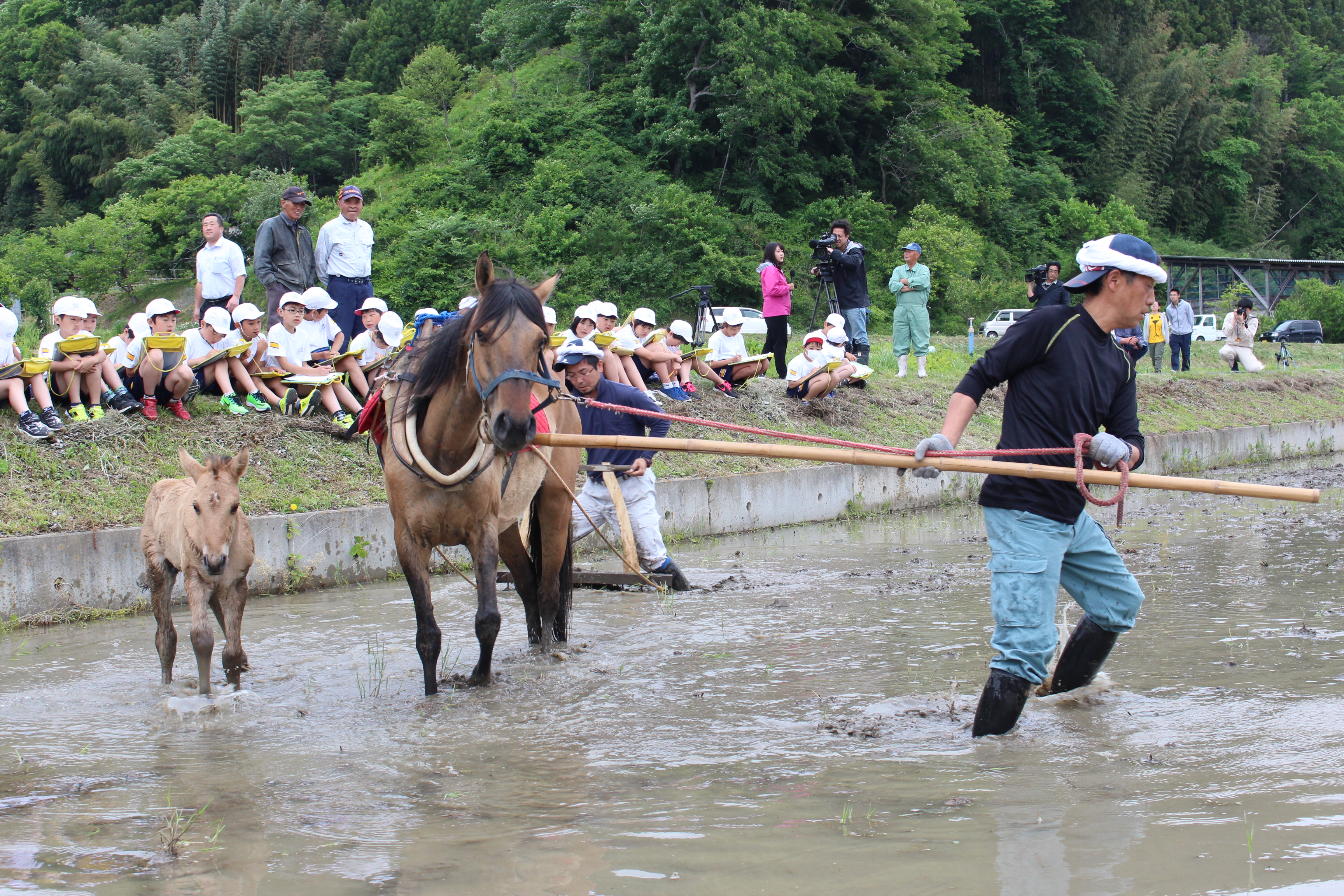 トピックス | JA夢みなみ