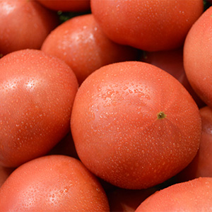 特別栽培トマト（ヘルシークイーントマト）